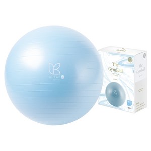 아리프 안티버스트 짐볼