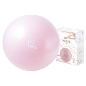 아리프 안티버스트 짐볼 + 에어펌프 + 공기마개