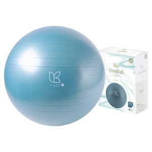 아리프 안티버스트 짐볼