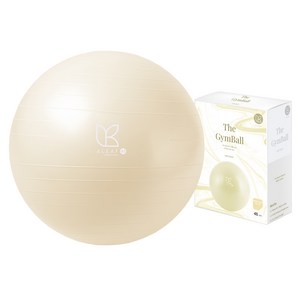 아리프 안티버스트 짐볼