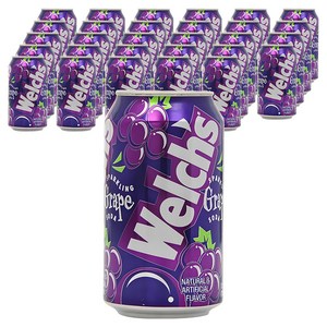 웰치스 그레이프맛, 355ml, 48개