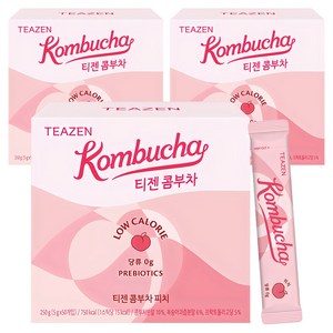 티젠 콤부차 피치