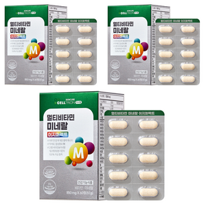 이너랩 멀티비타민 미네랄 이지퍼펙트, 60정, 3개