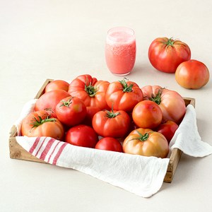 주스용 못난이 토마토, 5kg, 1박스