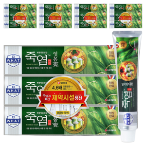 죽염 잇몸고 치약, 120g, 15개