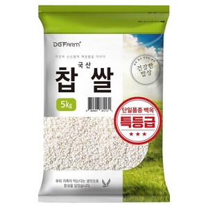 대구농산 건강한밥상 국산 백옥 특 찹쌀, 5kg, 1개