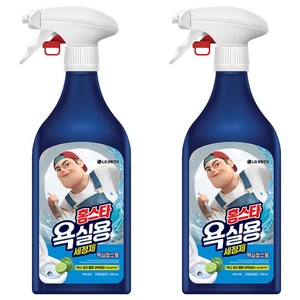 홈스타 맥스프레쉬 욕실청소용 세정제, 500ml, 2개