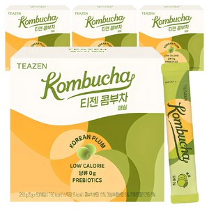 티젠 콤부차 매실