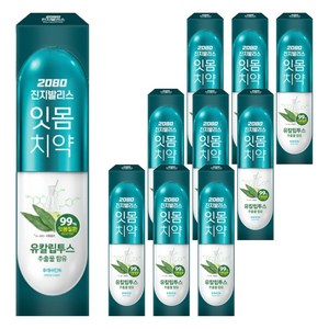 2080 진지발리스 후레쉬민트 유칼립투스향 치약, 150g, 10개
