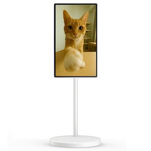 삼성전자 4K UHD 무빙스타일 Edge 라이트 모니터 + 스탠드 웜화이트 세트 방문설치