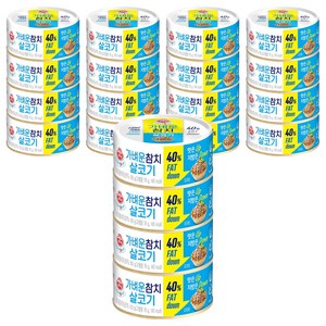 오뚜기 가벼운참치 살코기, 100g, 20개