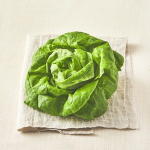 국내산 무농약 버터헤드레터스, 90g, 1개