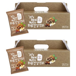 잇츠리얼넛츠 하루건강견과 베리앤요거트, 500g, 2개