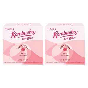 티젠 콤부차 피치