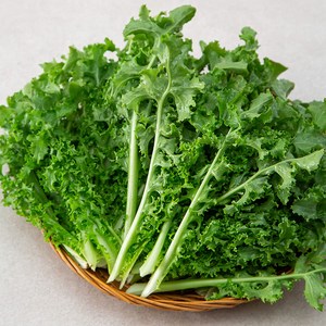 치커리 국내산, 1kg, 1개