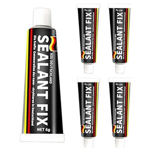 월드크린 실란트 픽스 6g, 5개