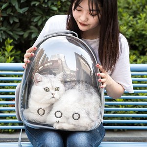 딩동펫 반려동물 투명우주선 백팩, 그레이, 32 x 25 x ..., 1개