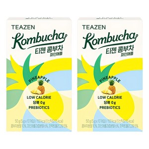 티젠 콤부차 파인애플