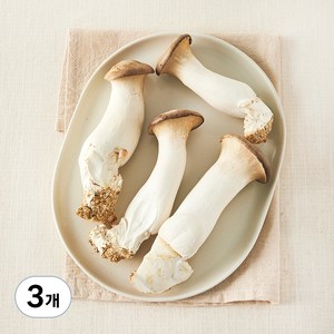 친환경 새송이버섯, 400g, 3개