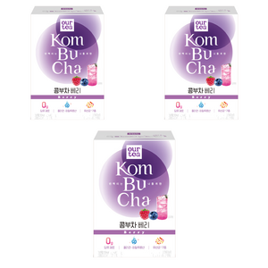 아워티 콤부차 베리