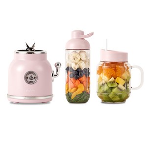 단미 레트로 미니 블렌더 BLS01