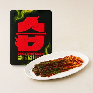 CJ제일제당 습 실비 파김치, 500g, 1개