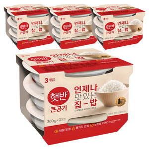 햇반 큰공기, 300g, 12개