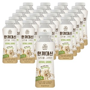 알티스트 한끼대신 오트볼 그레인, 50g, 24개
