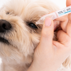 페토세라 큐아이 드롭 반려동물 인공눈물 눈세정제, 1ml, 30개