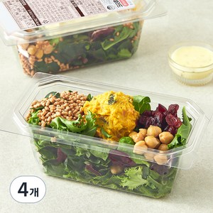 곰곰 크랜베리 단호박 샐러드, 165g, 4개