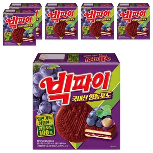 빅파이 영동포도 과자, 324g, 6개