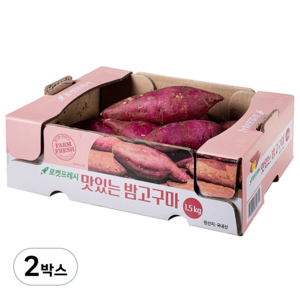 맛있는 밤고구마, 1.5kg, 2박스