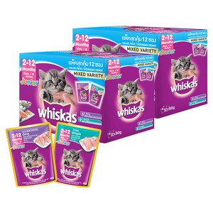 위스카스 주니어 고양이 믹스드 버라이어티팩 주식파우치 참치 6p + 고등어 6p, 참치+고등어, 80g, 24개