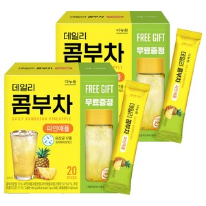 다농원 데일리 콤부차 파인애플