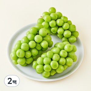 중화농협 상주 고당도 샤인머스캣, 1.5kg, 2박스