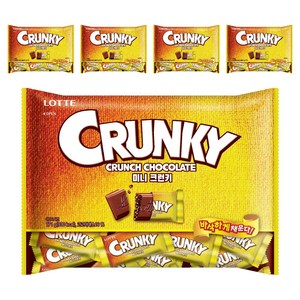 롯데웰푸드 미니 크런키, 171g, 5개