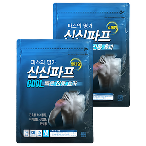 신신제약 신신파프 쿨 파스, 5개입, 2개