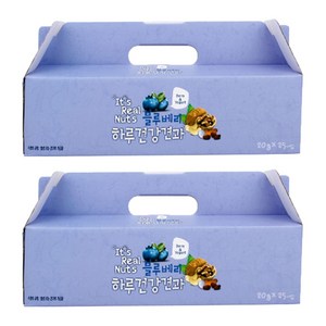 잇츠리얼넛츠 하루건강견과 블루베리 요거트 25p, 500g, 2개