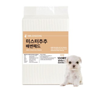 미스터추추 반려견 배변패드 무향, 절약형(50 x 4..., 100개입, 1개