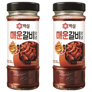 백설 매운갈비양념, 490g, 2개