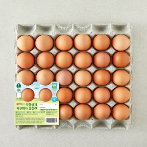 곰곰 무항생제 자연방사 유정란