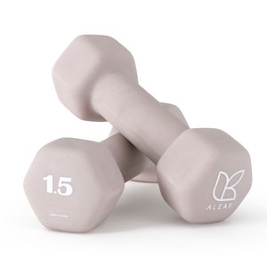 아리프 네오프렌 선인장 아령