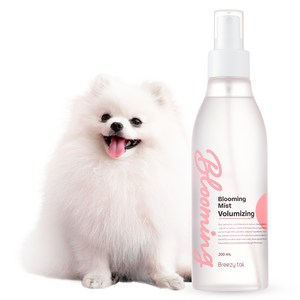 브리지테일 강아지 블루밍 미스트 볼륨 베이비파우더향
