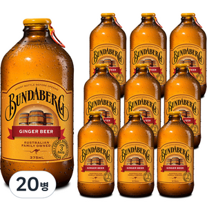 분다버그 진저비어 탄산음료, 375ml, 20개