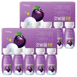 갓비움 푸룬 유산균 프리바이오틱스, 100ml, 10개