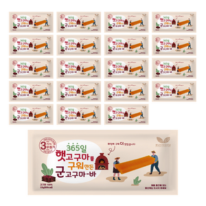 봄날인터내셔널 365일 햇고구마를 구워 만든 군고구마바, 22g, 20개