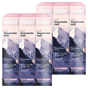 2080 퓨어치약 핑크마일드민트향, 120g, 6개
