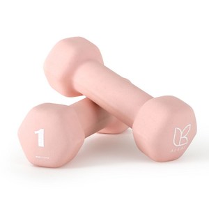 아리프 네오프렌 선인장 아령