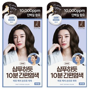 엘라스틴 샴푸하듯 10분 간편 염색제, 흑갈색, 2개