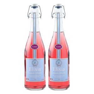 엘릭시아 블랙커런트맛 탄산음료, 750ml, 2개